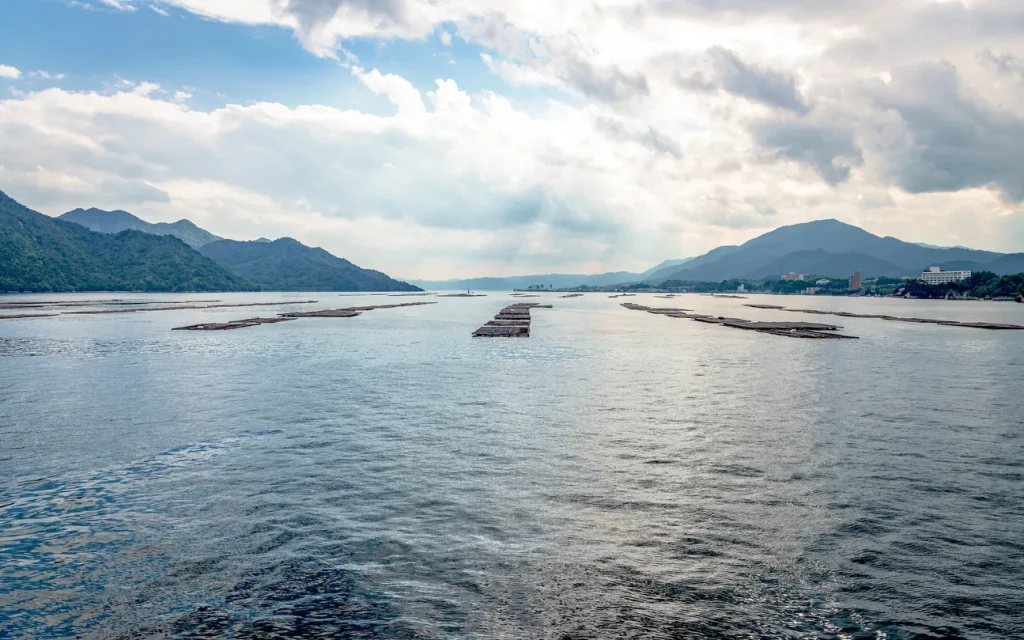 広島　パパ活　広島市西区